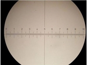 Calibração de Microscópio em Atibaia