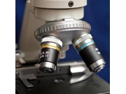Polimento de Lentes para Microscópio em Lagarto