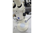 Estereoscopio Binocular Marca Zeiss Modelo Stemi SV6