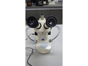 Estereoscopio Binocular Marca Zeiss Modelo Stemi SV6 - 25368